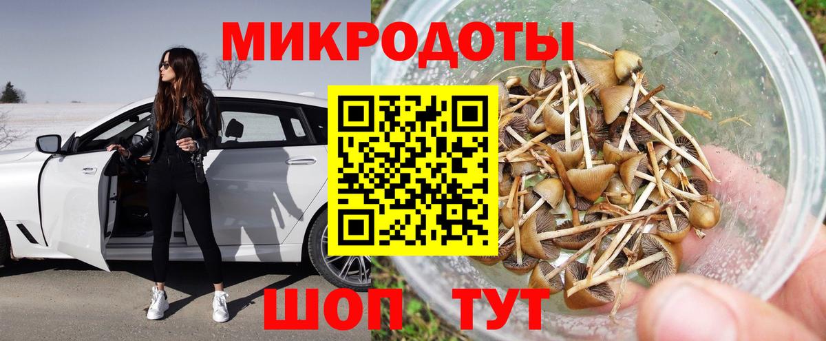 Псилоцибиновые грибы прущие грибы Нурлат