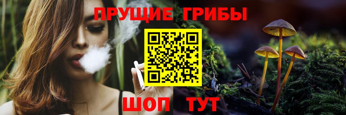 Нурлат  Галлюциногенные грибы Magic Shrooms  Вход с VPN 